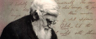  Alfred Wallace